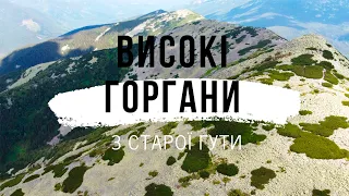 У ДИКІЙ ГЛУШИНІ.ТРИ ДНІ В КАРПАТАХ.ПОХІД НА СИВУЛІ.Центральні ГОРГАНИ.