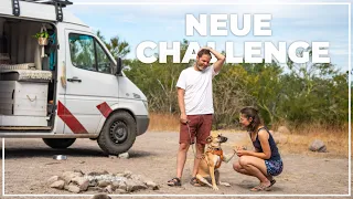 IS EVERYTHING CHANGING NOW? | New Challenge | Van Life Mexico | #80