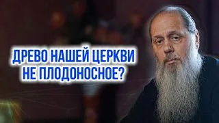 Древо нашей церкви не плодоносное?