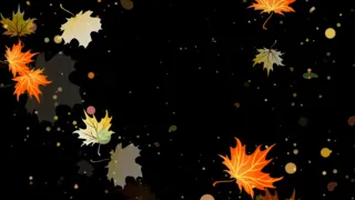 Осенние листья | осень | листопад | leaves | футажи | ФутаЖОР