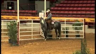 2013 AQHA Verstality Ranch Horse Amateur World Champion