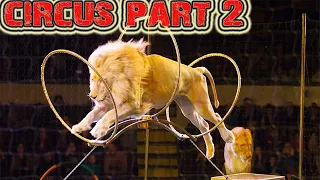 Lucky Irani Circus Full HD Part 2 | lucky irani circus Full show 2021
