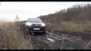 Review of Toyota RAV4 with transmission CVT.