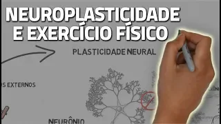 Neuroplasticidade e exercício