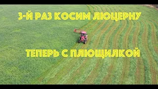 3-й раз косим люцерну с плющилкой