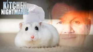 these chefs need a rat under their hat | Kitchen Nightmares