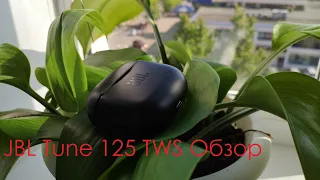 Мой отзыв и обзор на JBL Tune 125 TWS