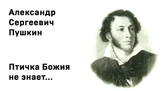 Александр Сергеевич Пушкин  Птичка Божия не знает Учи стихи легко Аудио Стихи Слушать Онлайн