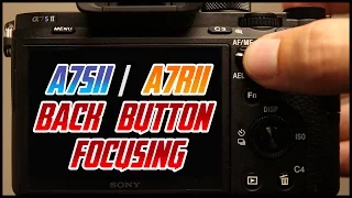 Sony A7Sii A7Rii Tutorial Back Button Focus Training Video