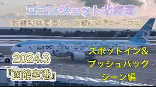 ロコンジェット北海道　AIRDOのボーイング767型機『きつねポケモンの「ロコン」と「アローラロコン』