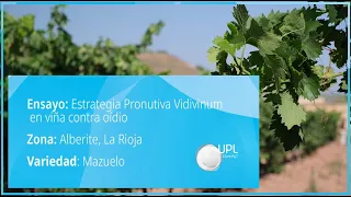 Estrategia Pronutiva Vidivinum para el control de oídio