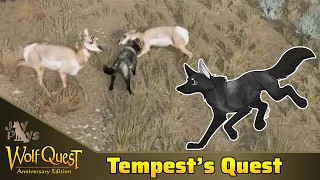 Choosing a New Den on Amethyst Mountain! | WolfQuest Wayfinders: Tempest's Quest #3