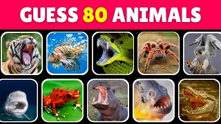 Guess 80 Dangerous Animals in 5 seconds 🐯🐍🦈 🦅  EASY to IMPOSSIBLE