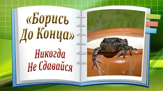 Никогда Не Сдавайся! Борись До Конца! Мотивирующая Притча! Канал Притчи и Рассказы