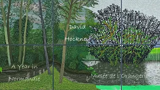 David Hockney à l'Orangerie : Une Année en Normandie