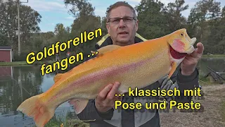 Goldforellen - klassisch mit Pose und Paste