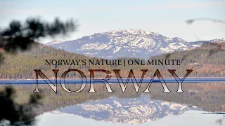 NORWAY'S NATURE IN ONE MINUTE