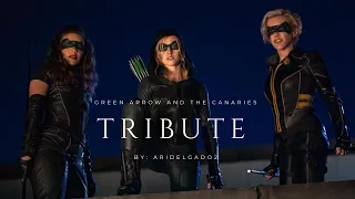 Mia Queen [+Green Arrow and the Canaries] | Tribute (Thanks 2K)