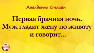 Первая Брачная Ночь. Муж Гладит Жену По... Анекдоты Онлайн! Короткие Приколы! Смех! Юмор! Позитив!