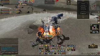 Lineage 2, Naia. Tyrr Titan aoe xp in Storm Isle w/ runner.