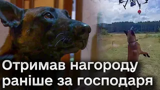 🐕 Аід поділився позивним з господарем і своїм підрозділом! За що бойовий пес отримав - героя війни?