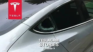 Tesla Sentry Mode theft compilation | TESLACAM STORIES #9