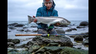 SEA TROUT HUNTING – HAVSÖRINGSJAKT