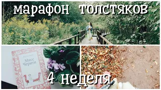 КНИЖНЫЙ МАРАФОН ТОЛСТЯКОВ || "МИСС ЧЕРИТИ" МАРИ-ОД МЮРАЙ