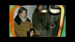 Mit Tieren reden: Kühe fühlen sich nicht ernst genommen - TV total
