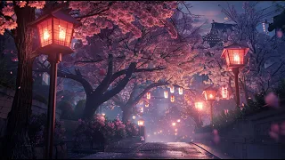 Cherry blossoms at night / Lofi Japan BGM
