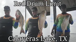 Calaveras Lake, TX - First Red Drum Limit