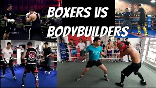 When Bodybuilders Challenge Boxing Coaches