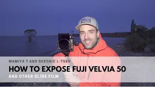 How to Expose Fuji Velvia 50 with the Mamiya 7