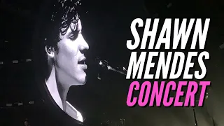 Shawn Mendes World Tour | The Ultimate Concert Experience #shawnmendes #livemusic #concert