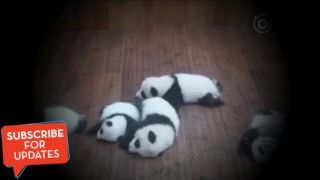 The panda on the bottom right |  Desiigner - Panda (Official #PANDATO Video)