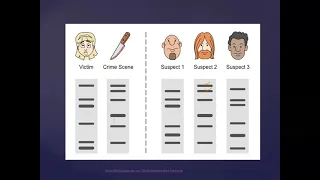 DNA Profiling