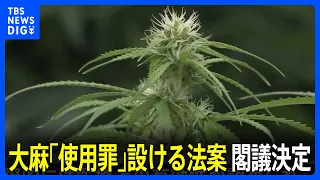 大麻に「使用罪」を設ける法案を閣議決定　「医療用大麻」は解禁｜TBS NEWS DIG