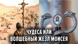 Чудеса или Волшебный жезл Моисея. Змеи на посохе