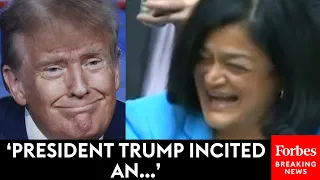 VIRAL MOMENT: 'Erection' Gaffe From Pramila Jayapal Makes House Hearing Explode Into Laughter