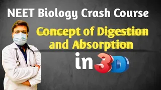 Biology Crash Course for NEET | Digestion and Absorption Class 11 Biology | NEET Biology | Part- 2
