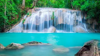 Cachoeira e Paz 🍃 Música Relaxante com Suave Sons de Água e Natureza para Meditar e Acalmar