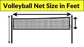 Volleyball net size in feet | volleyball net height in feet | how high is a volleyball net