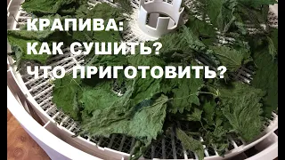 Сушка КРАПИВЫ на зиму. Что приготовить из сушёной крапивы? Вкуснейший соус из крапивы.