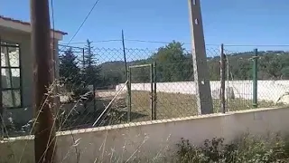 Видеообзор моего дома в Португалии