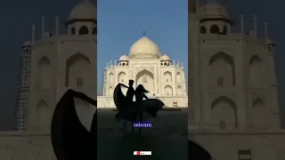 Eetchi Elumichi Official Video | Full HD | Taj Mahal | A.R.Rahman | Bharathiraja | Vairamuthu