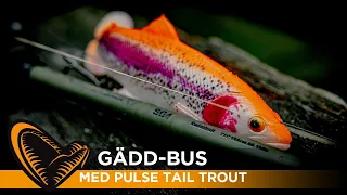 Gädd-Bus med Pulse Tail Trout