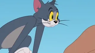 Tom și Jerry  Atacul puricilor!