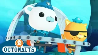 Octonauts - Octonauts Outnumbered! | Cartoons for Kids | Underwater Sea Education