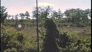 9th Infantry Division troops advance in a forest area in Cambodia during the Camb...HD Stock Footage