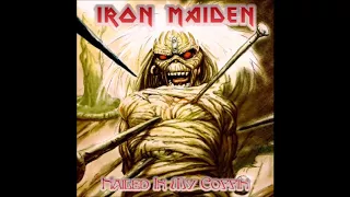 Iron Maiden - 07 - Flight of Icarus (Sheffield - 1984)